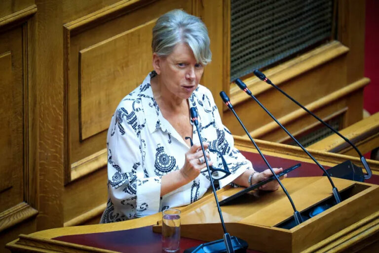 Προγραμματικές προτάσεις και Ακριτικές επιλογές